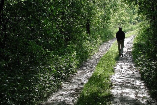 گردشگری، راهی طبیعی برای مبارزه با افسردگی