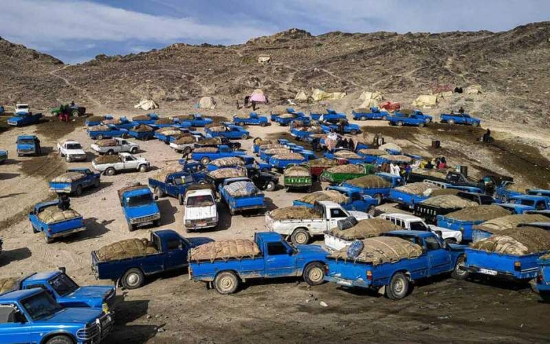 روند نگران کننده افزایشی قاچاق سوخت در کرمان