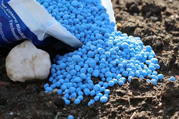 تامین ۱۰۰۰ تنی کود اوره برای کشاورزان کرمانی