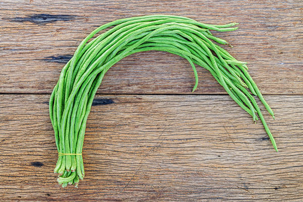 کاشت لوبیا سبز نیم متری در میبد