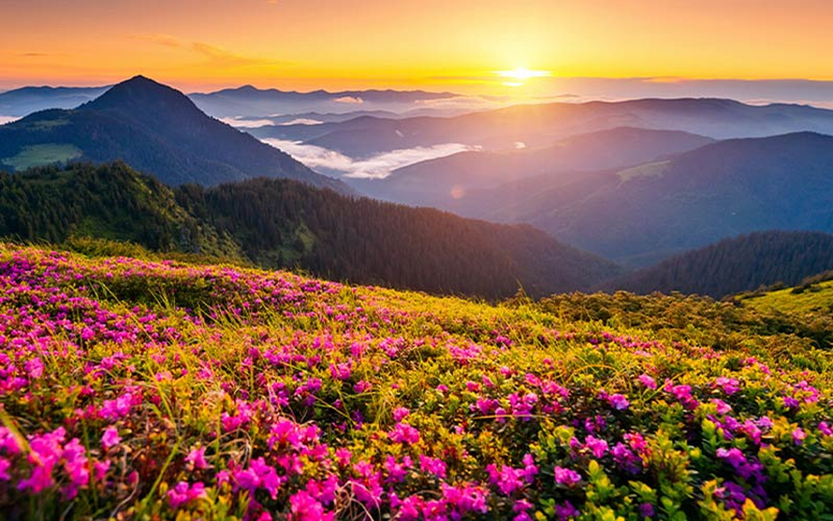 تفال به حافظ چهارشنبه ۲۰ فروردین ۱۴۰۴؛ صبح است و ژاله می‌چکد از ابر بهمنی...