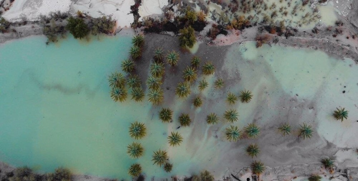 تفال به حافظ دوشنبه ۱ اردیبهشت ۱۴۰۴؛ کنار آب و پای بید و طبع شعر و یاری خوش...