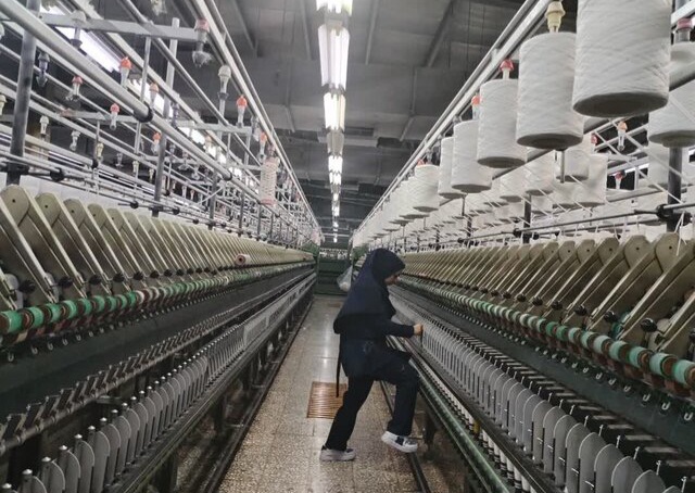 واحد تولیدی منحصربفرد کرمان، نیازمند حمایت/ مصوبه شورای تامین و دادگستری بر زمین ماند