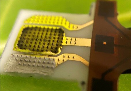 نوآوری در کشاورزی؛ حسگری برای پایش مستقیم «استرس گیاهان»