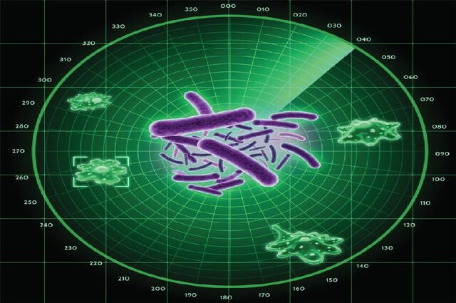 شناسایی رادار پنهان باکتری‌ها جهت شناسایی دشمنان
