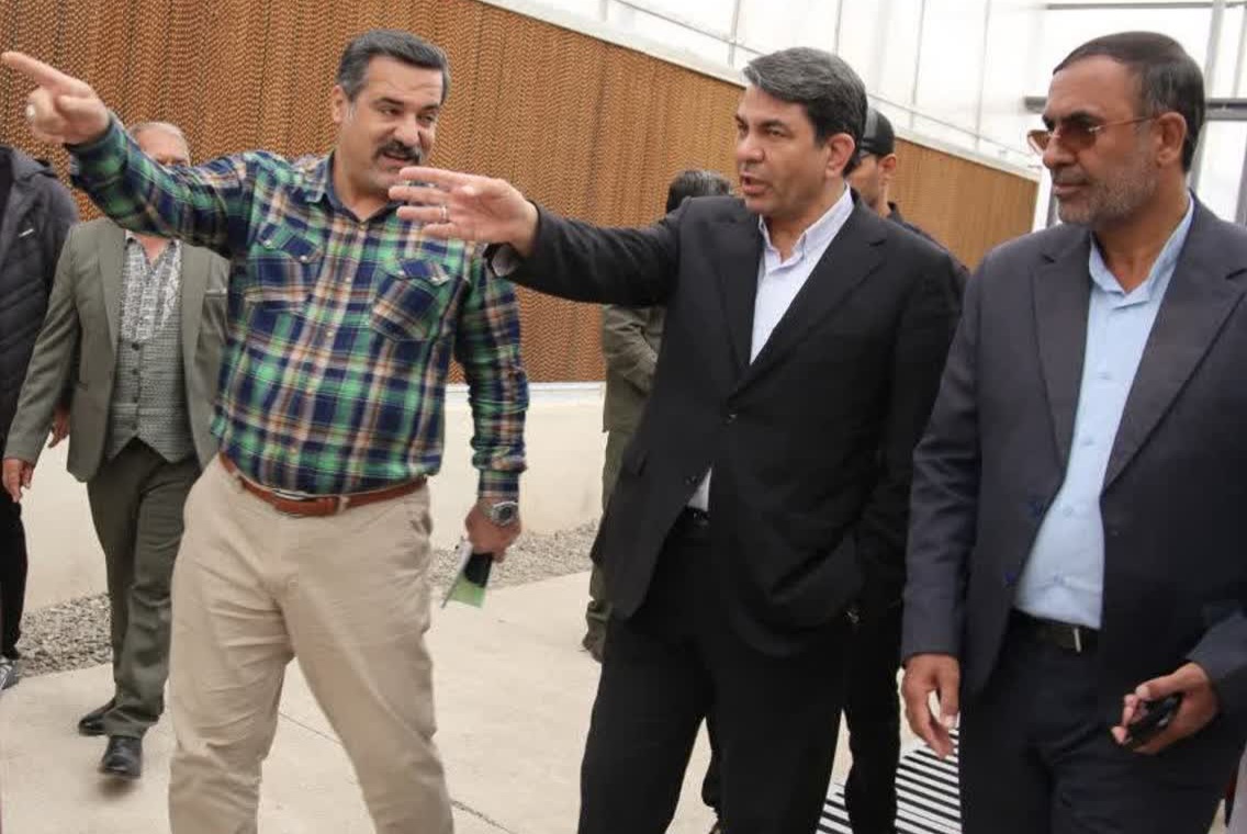 سفر استاندار کرمان به جنوب استان/ بازدید از پروژه گلخانه‌ای عظیم رودبار جنوب