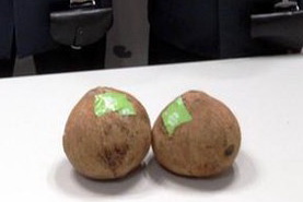 جاسازی هروئین وسط دو نارگیل به مقصد ایتالیا(عکس)