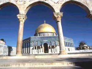 عالیشوندی: تکواندوکاران استان یزد حضور پرشوری در روز جهانی قدس خواهند داشت