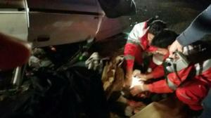 واژگونی پراید در محور اردکان که پنج  مصدوم به جای گذاشت .