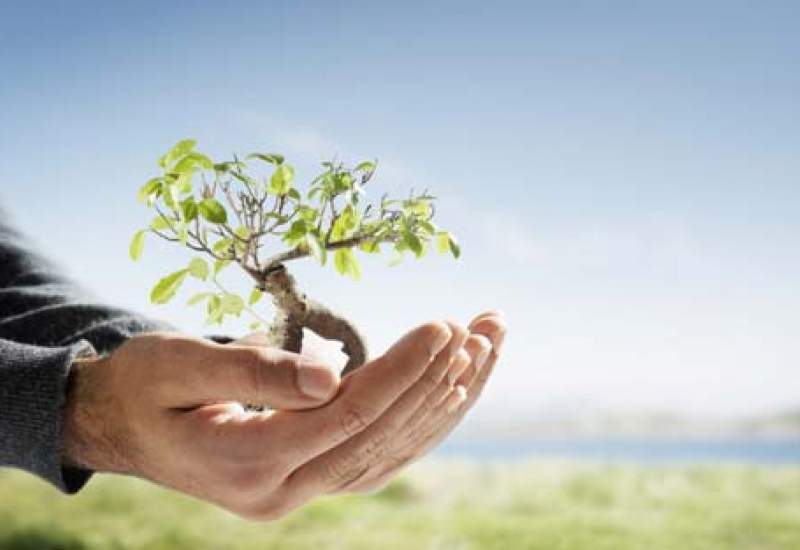 لزوم وقف در حوزه های درمان، امنیت، آموزش و ترویج قرآن