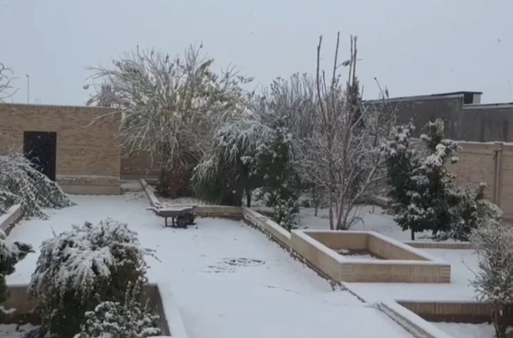 ببینید| بارش برف در کاریزلند یزد